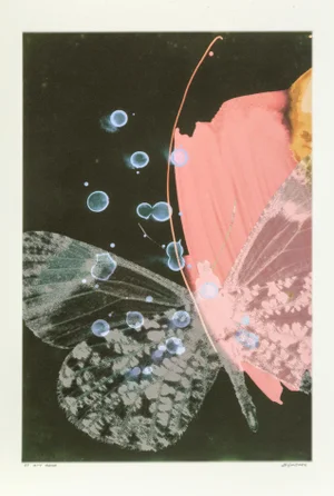 Michael Knigin, "City Mama", Digital Collage