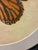 Transitional Natural Curiosities Orange Monarch Butterfly Framed Natural History Print For Sale - Image 3 of 4