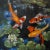 "Enlightened Waters" was inspired by the artist's love of koi ponds. It is more representational which depicts more detail...