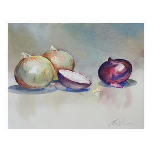 Contemporary Onion Still Life Watercolor Painting