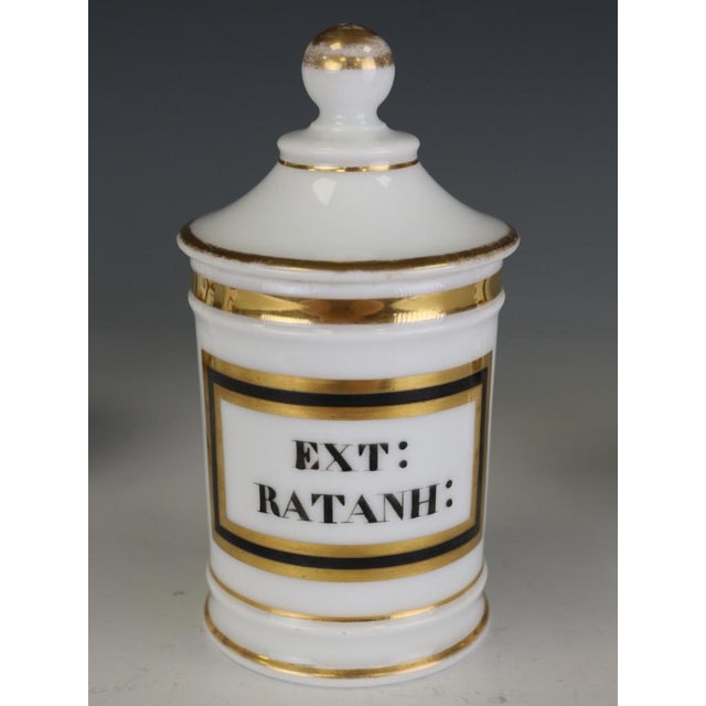 Ceramic Antique Continental Opaline Glass Apothecary Jars, 1880, Set of 5 For Sale - Image 7 of 10