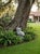 Vintage Cast Iron Horned Owl Garden Sculpture For Sale - Image 10 of 11