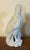 Ceramic Antique 18th Century Chinese Blanc De Chine White Porcelain Parrot For Sale - Image 7 of 18