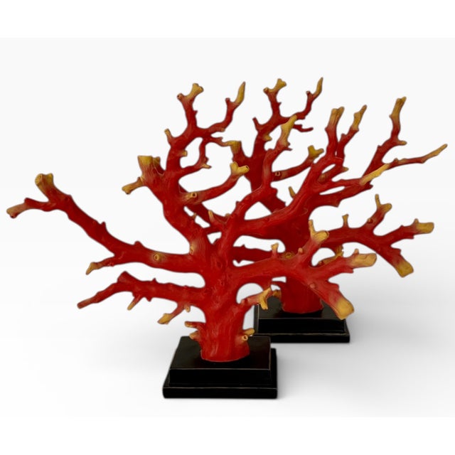 Traditional Vintage Red Coral Branch Sculptures - Set of 2 For Sale - Image 3 of 9