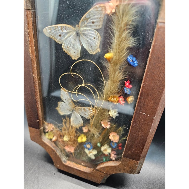 Vintage Butterflys & Dried Flowers Mounted In Shadow Box Frame Taxidermy