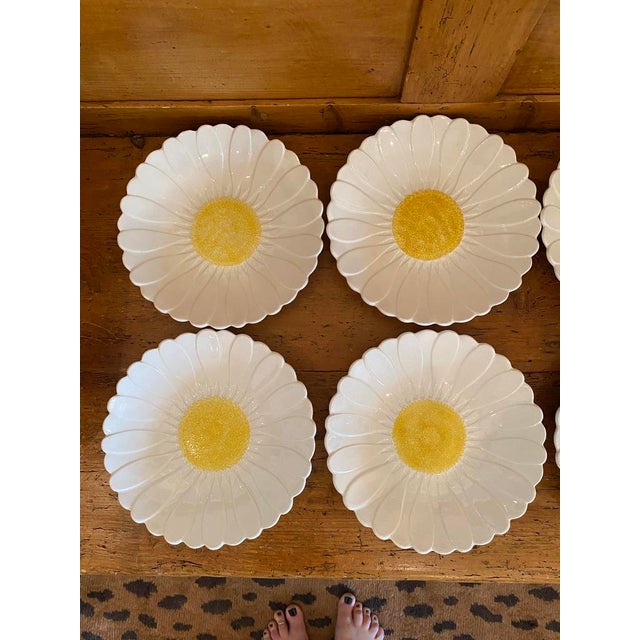 Vintage Gien Daisy Plates, Set of 8 Chairish