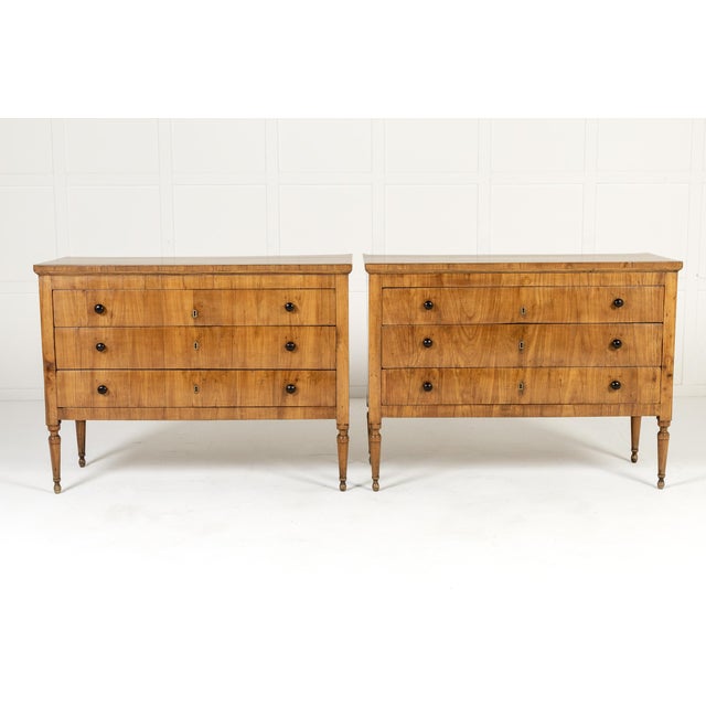 Early 19th Century Italian Cherrywood Chests of Drawers, Set of 2 For Sale - Image 6 of 9