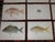 Authentic Antique 19th Century Tropical Fish Lithographs - Set of 12 For Sale - Image 4 of 6