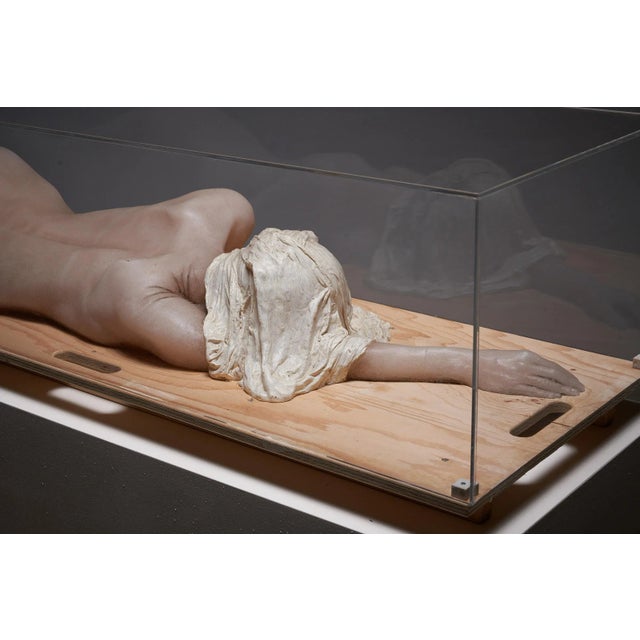 2000 - 2009 Nude Lady, 2000s, Wax Figure in Acrylic Glass For Sale - Image 5 of 9