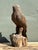 American Vintage Hand Carved Eagle Statue For Sale - Image 3 of 12