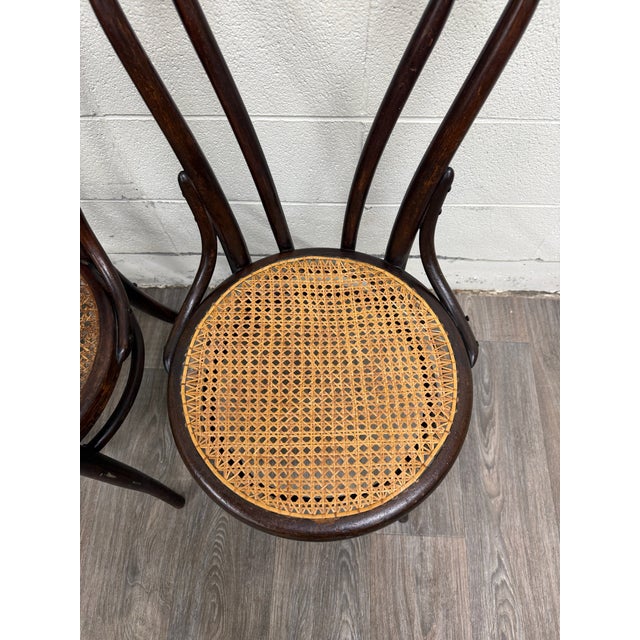 Thonet Antique Thonet Style Bentwood Caned Seat Dining Chairs - Set of 4 For Sale - Image 4 of 12