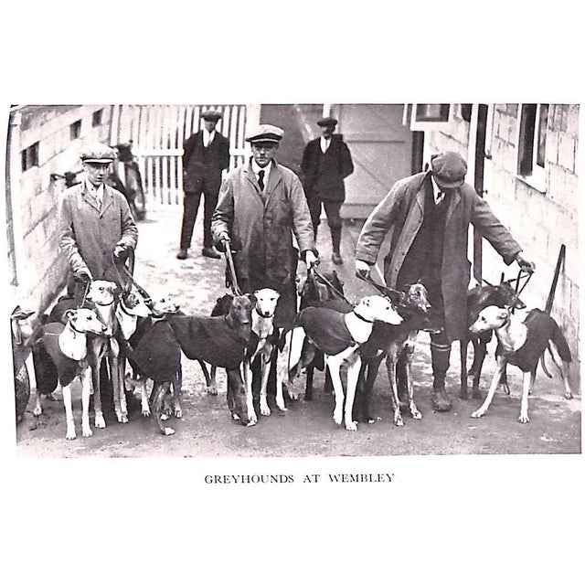 "Derby Day: And Other Adventures" 1934 Newton, A. Edward For Sale - Image 10 of 12