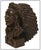 The artwork here, "Weasel Feather", is a wonderful depiction of the bust of a distinguished Native American man, that is...