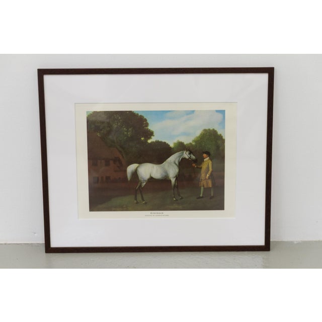 Paper George Stubbs, Grey Horse Gimcrack, Late 20th Century, Print, Framed For Sale - Image 7 of 14