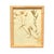 1893 Herbarium Botanical Specimens, Set of 12 For Sale - Image 14 of 17