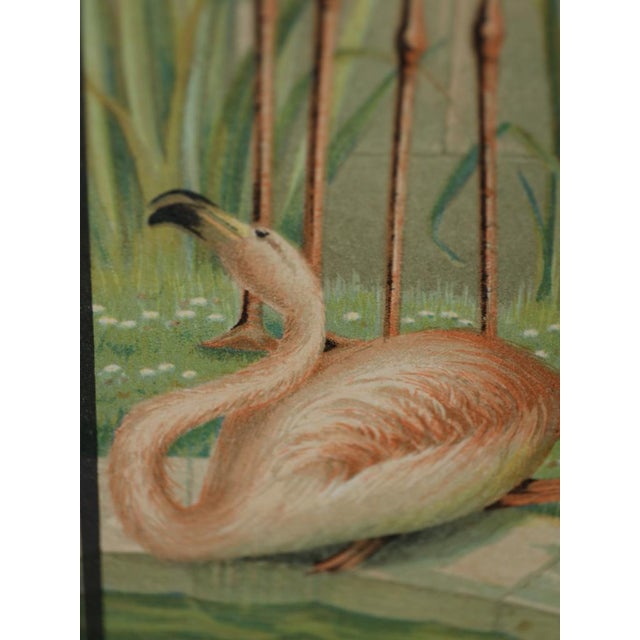 Emrik & Binger, The Avian Collection, 1880, Chromolithograph For Sale - Image 10 of 13