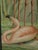 Emrik & Binger, The Avian Collection, 1880, Chromolithograph For Sale - Image 10 of 13