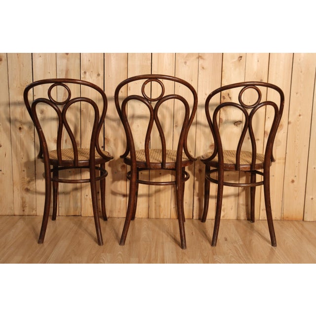 Antique Angel Wing Model Bistro Chairs by Hofmann, 1900, Set of 6 For Sale - Image 6 of 9