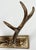 Metal Vintage Brass Deer Antler Wall Hook For Sale - Image 7 of 8