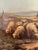 Framed Dutch Oil on Canvas "Sheep in the Field", Late 19th Century For Sale - Image 4 of 8