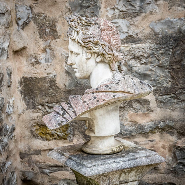 Unknown, Bust of the Apollo Belvedere, 2000s, Stone For Sale - Image 3 of 8