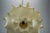 Brown Taraxacum Cocoon Suspension Lamp from Flos, 1960s For Sale - Image 8 of 18