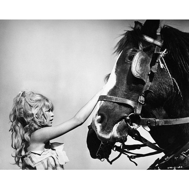 Brigitte Bardot Portrait of French actress Brigitte Bardot petting a horse, circa 1960s. (Photo by Archive Photos/Getty...