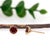 2020s Timeless Round 6mm Red Garnet Martini Studs in Solid 14k Gold-Set of 2 For Sale - Image 5 of 7