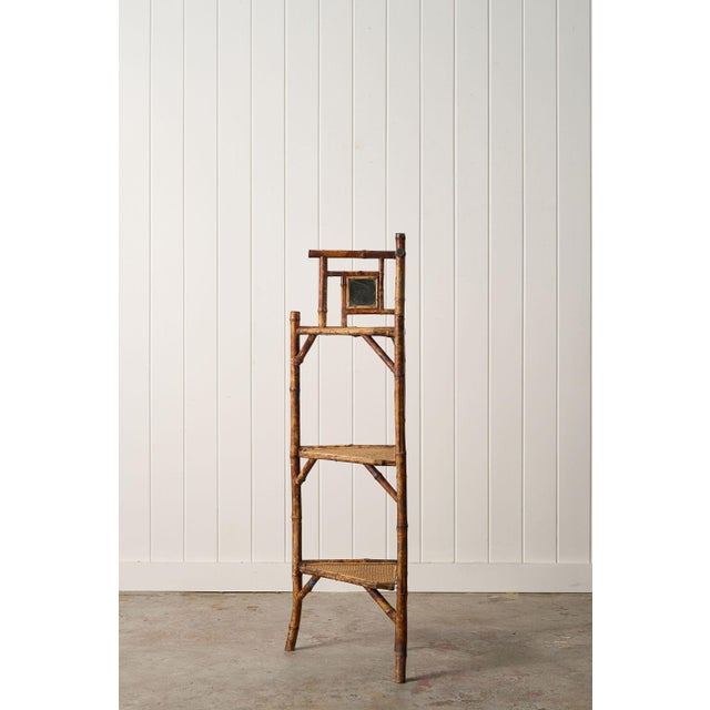 19th Century Three-Tier English Tiger Bamboo Corner Shelf For Sale - Image 4 of 9