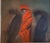 1980s 1980s Victoria Mortesinos Large Oil Painting - Signed For Sale - Image 5 of 15