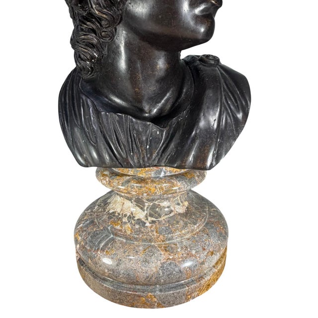 Bronze Bust of Apollo on Marble Pedestal Base For Sale In Tampa - Image 6 of 6