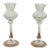 Late 19th Century Austrian Etched Glass Candlestick Holders - a Pair For Sale