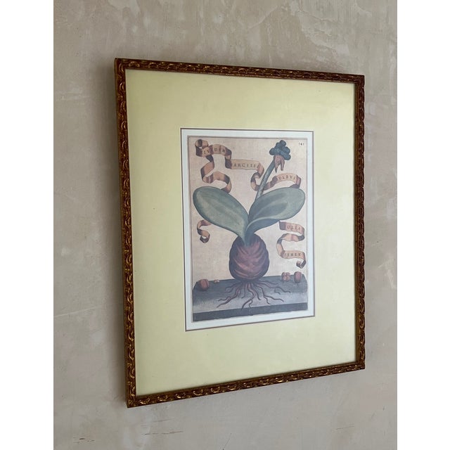 Printmaking Materials Reproduction Prints of Giovanni Battista Ferrari 17th Century Etchings, Framed, Matted For Sale - Image 7 of 12