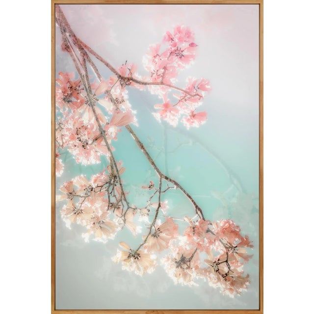 Contemporary On a CLoud, 60x40 Contemporary, FIne Art Photography by Kristin Hart For Sale - Image 3 of 5