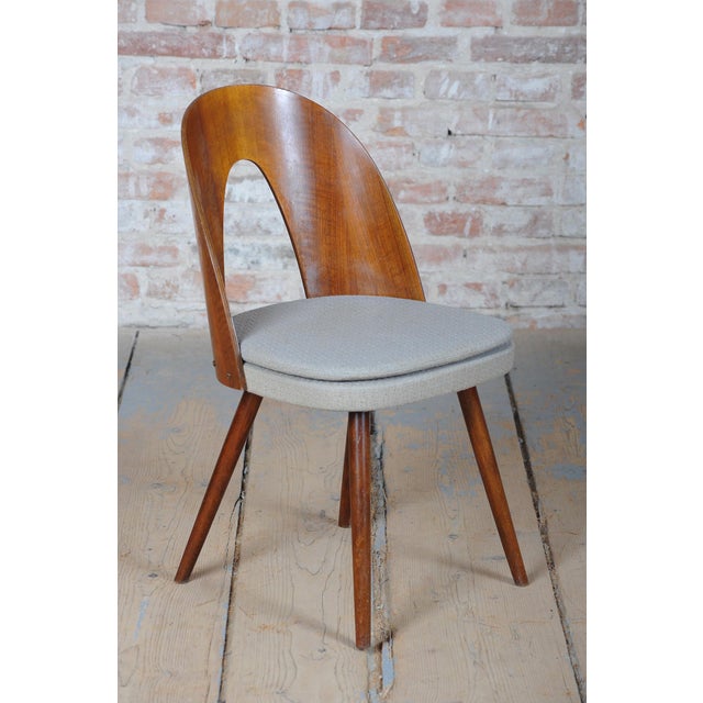 Mid-Century Chairs in Walnut attributed to Antonín Šuman, Czech, 1950s, Set of 4 For Sale - Image 6 of 18