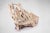 2020s Modern Free Form Teak Root Bench 29 For Sale - Image 5 of 12