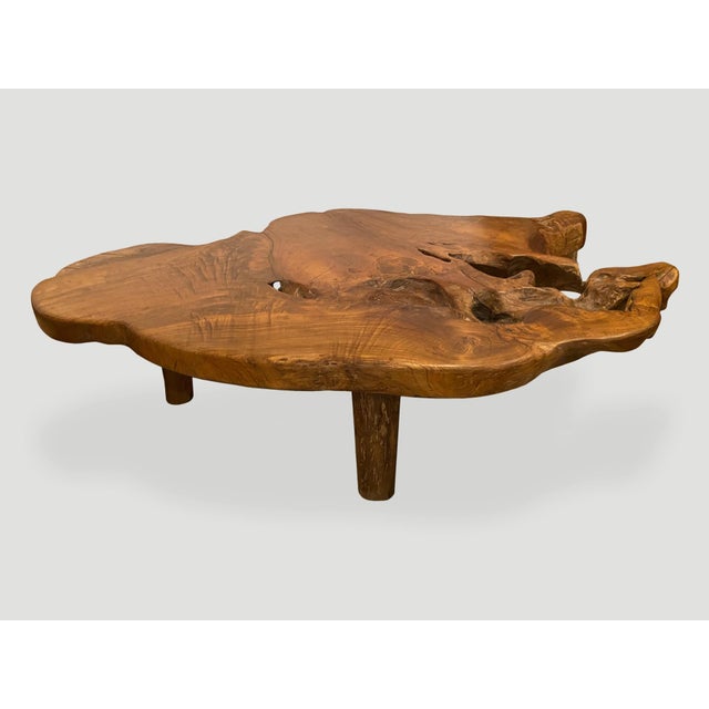 Andrianna Shamaris Organic Teak Root Coffee Table For Sale - Image 12 of 18