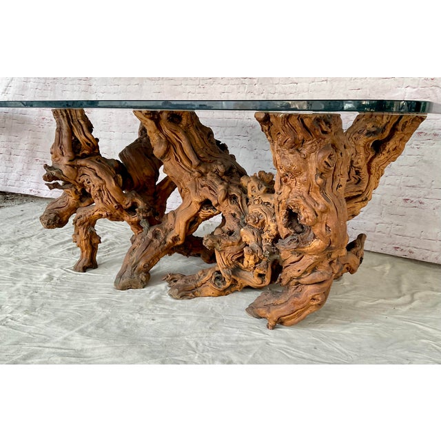 Vintage Sculptural Natural Burlwood Root Dining Table With Rectangular Glass Top For Sale - Image 12 of 18