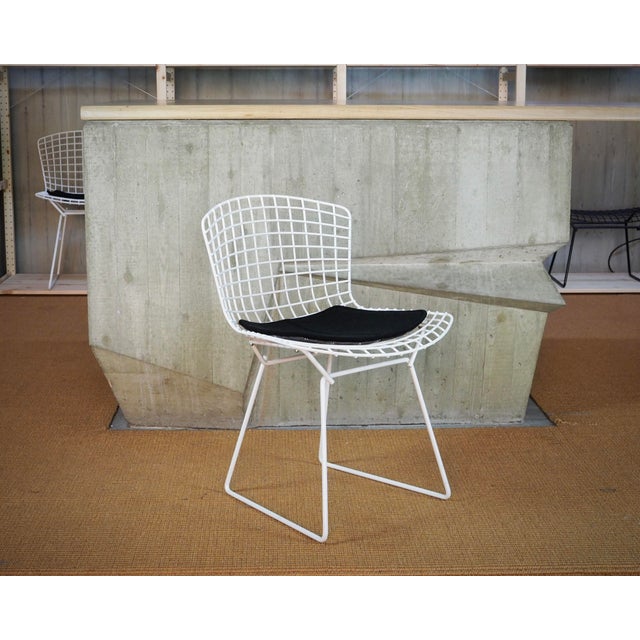 Bertoia Side Chairs with Cushion by Harry Bertoia for Knoll International, Set of 4 For Sale - Image 10 of 16
