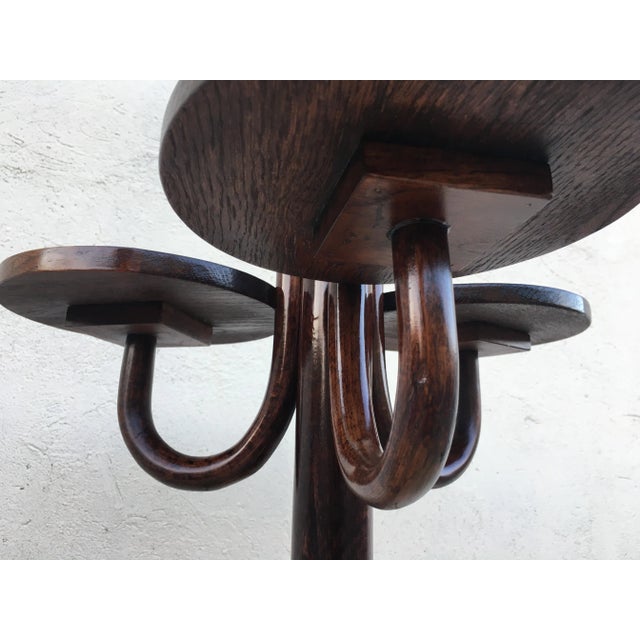 Bentwood Flower Bed from Thonet, 1940s For Sale - Image 13 of 18