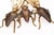 Ornamental & Decorative Materials Gold Leaf Gilded Fly Ashtrays, 1930s, Set of 3 For Sale - Image 7 of 9