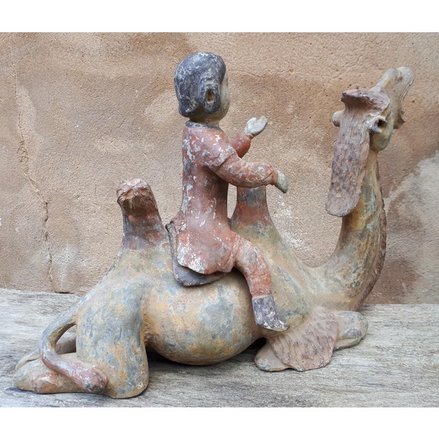 Chinese Tang Dynasty Artist, Sculpture of a Camel, 1800s, Terracotta For Sale - Image 10 of 18