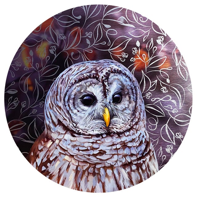 Reflection: Barred Owl by Allison Leigh Smith | Oil on Aluminum Portrait of a Barred Owl For Sale