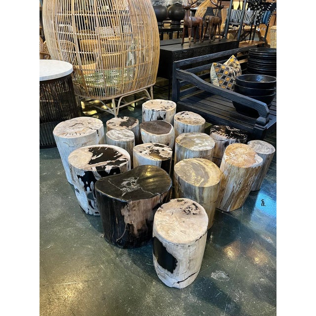 Petrified Wood Vintage Stump Side Table For Sale - Image 4 of 4