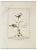 N. Fiorillo, Unknown, Ancient Roman Fresco Herculaneum, Original Etching, 18th Century For Sale