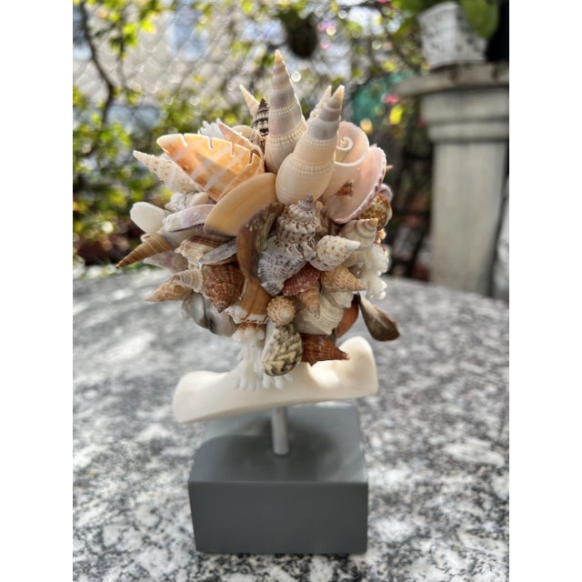 2020s Small Christa's South Seashell Bust of Hermes Encrusted With Seashells For Sale - Image 5 of 10