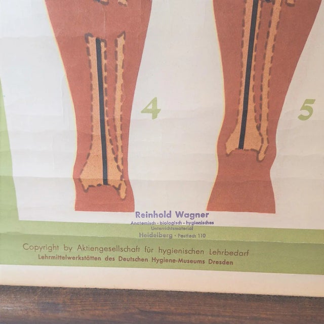 Vintage School Poster, 1930s For Sale - Image 4 of 6