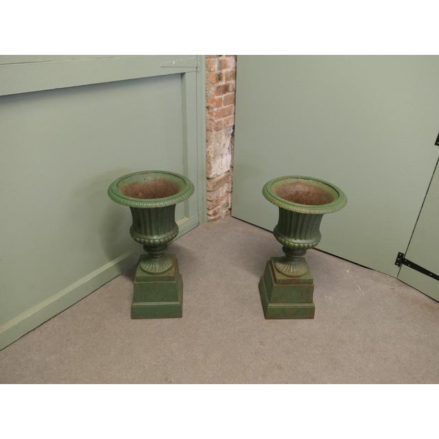 1960s Vintage Cast Iron Garden Planters, 1960, Set of 2 For Sale - Image 5 of 8