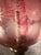Antique Pink Cranberry Etched Glass Oil Lamp Converted to Electricity For Sale - Image 10 of 11