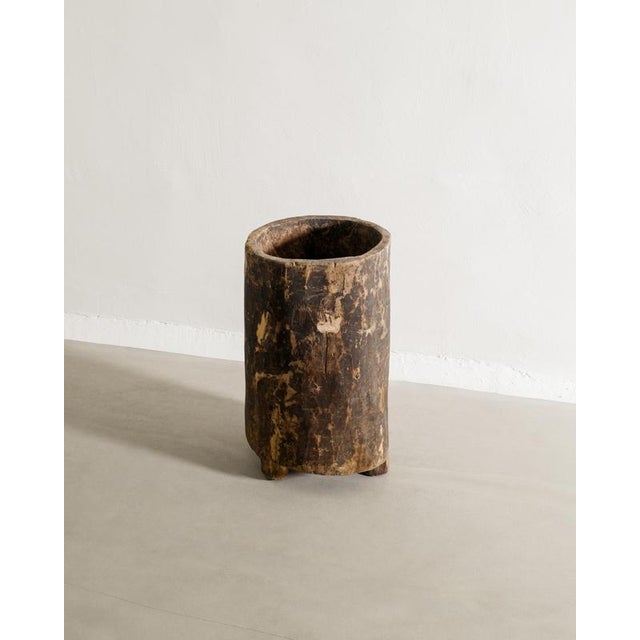 Vintage Indian Wabi Sabi Decorative Wooden Naga Planter Pot, 1960s For Sale - Image 4 of 5